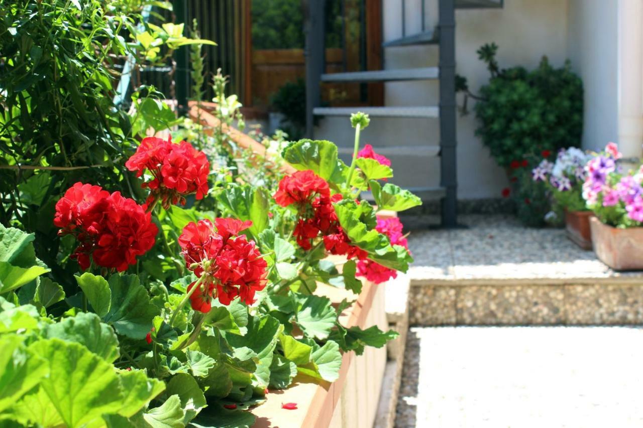 Raggio Di Sole Bed & Breakfast มาการี ภายนอก รูปภาพ